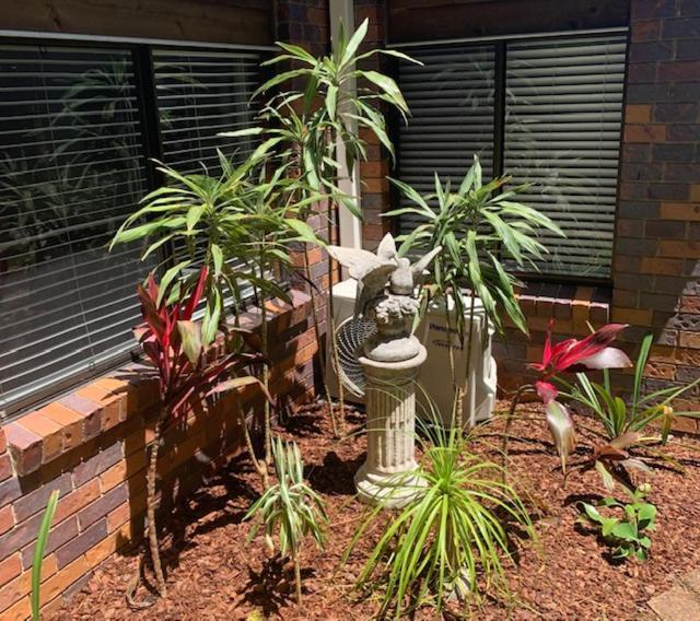 Montville Holiday Apartments מראה חיצוני תמונה